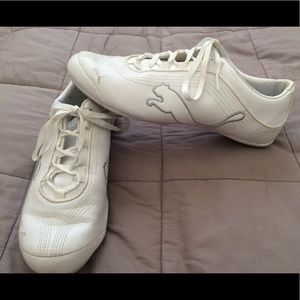 White Pumas